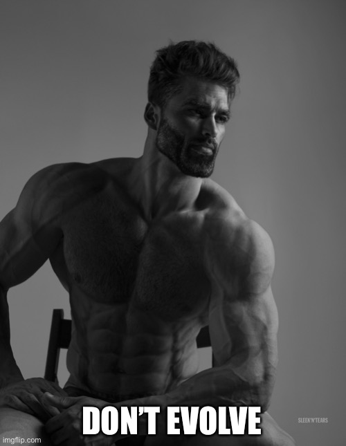 Giga Chad | DON’T EVOLVE | image tagged in giga chad | made w/ Imgflip meme maker