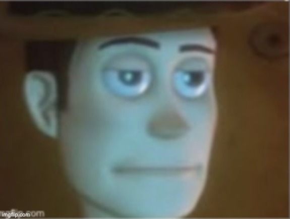 Woody Dissappinted Stare | image tagged in woody dissappinted stare | made w/ Imgflip meme maker