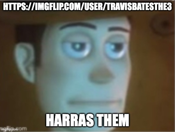 Woody Dissappinted Stare | HTTPS://IMGFLIP.COM/USER/TRAVISBATESTHE3; HARRAS THEM | image tagged in woody dissappinted stare | made w/ Imgflip meme maker