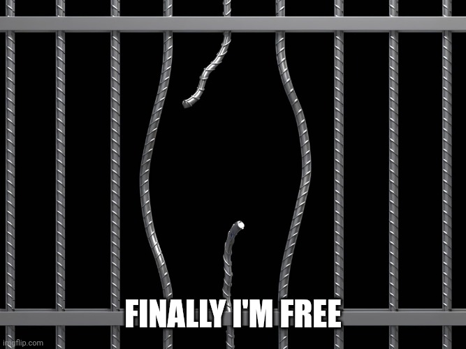 Prison Break | FINALLY I'M FREE | image tagged in prison break | made w/ Imgflip meme maker