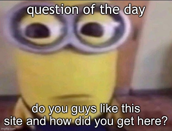 Minion Stare | question of the day; do you guys like this site and how did you get here? | image tagged in minion stare | made w/ Imgflip meme maker