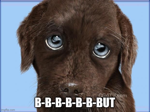 Puppy dog eyes | B-B-B-B-B-B-BUT | image tagged in puppy dog eyes | made w/ Imgflip meme maker