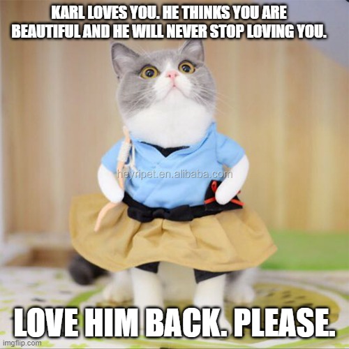 You're beautiful. Be yourself. Upvote if you're gay. (I'm bisexual!) =D |  KARL LOVES YOU. HE THINKS YOU ARE BEAUTIFUL AND HE WILL NEVER STOP LOVING YOU. LOVE HIM BACK. PLEASE. | image tagged in i love you | made w/ Imgflip meme maker