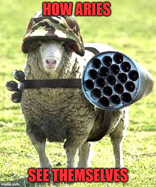 Finally, something I can't get cancelled for-Zodiac jokes. | HOW ARIES; SEE THEMSELVES | image tagged in zodiac,zodiac signs,astrology,aries,sheep,guns | made w/ Imgflip meme maker