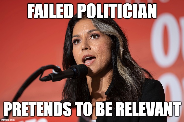 FAILED POLITICIAN; PRETENDS TO BE RELEVANT | image tagged in fake,loser,fraud | made w/ Imgflip meme maker