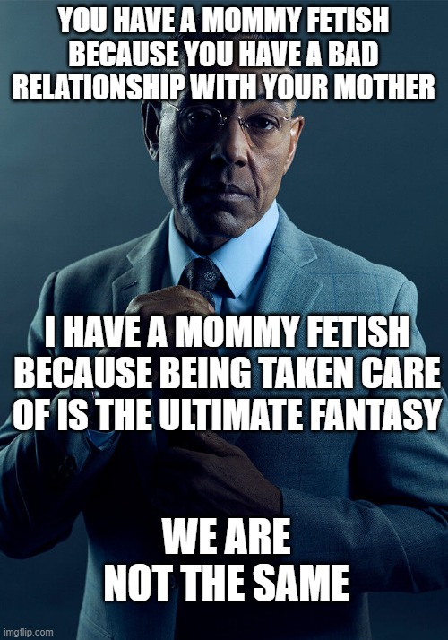 Gus Fring we are not the same | YOU HAVE A MOMMY FETISH BECAUSE YOU HAVE A BAD RELATIONSHIP WITH YOUR MOTHER; I HAVE A MOMMY FETISH BECAUSE BEING TAKEN CARE OF IS THE ULTIMATE FANTASY; WE ARE NOT THE SAME | image tagged in gus fring we are not the same | made w/ Imgflip meme maker