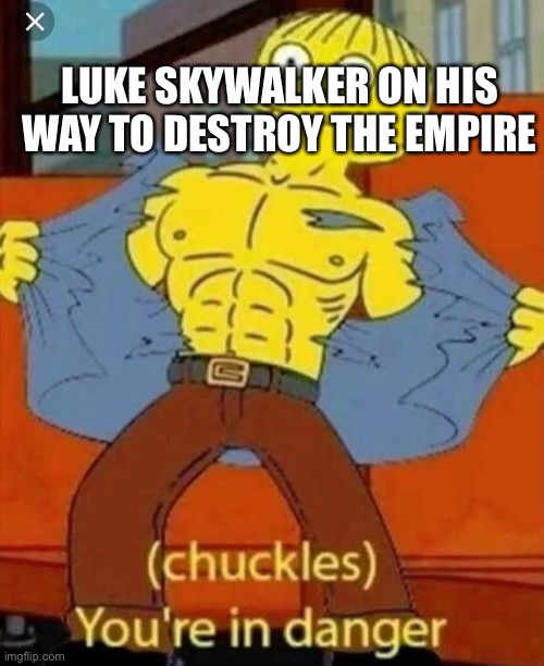 Your in danger | LUKE SKYWALKER ON HIS WAY TO DESTROY THE EMPIRE | image tagged in your in danger | made w/ Imgflip meme maker