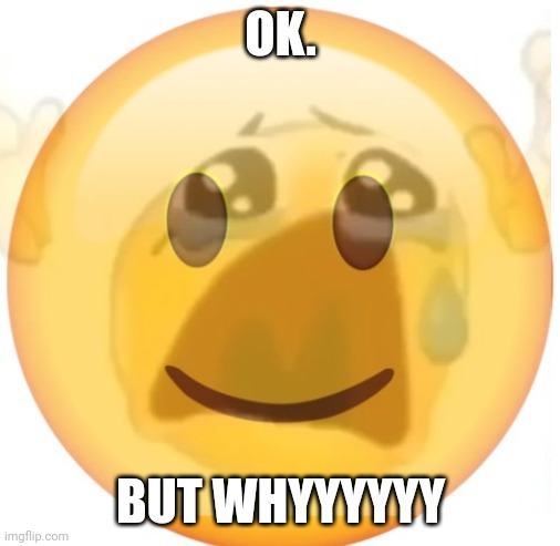 happy emoji on the outside, but crying on the inside | OK. BUT WHYYYYYY | image tagged in happy emoji on the outside but crying on the inside | made w/ Imgflip meme maker