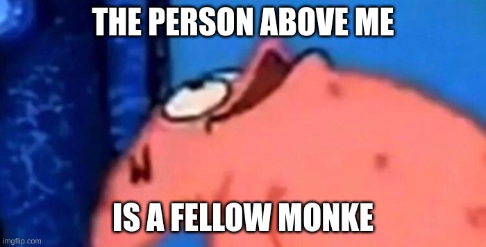 Patrick looking up | THE PERSON ABOVE ME; IS A FELLOW MONKE | image tagged in patrick looking up | made w/ Imgflip meme maker