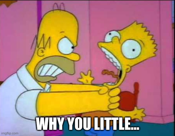 Homer strangling Bart | WHY Y0U LITTLE... | image tagged in homer strangling bart | made w/ Imgflip meme maker