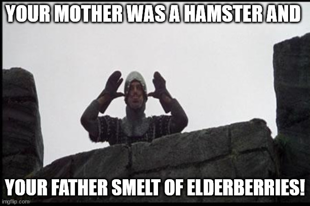 French Taunting in Monty Python's Holy Grail | YOUR MOTHER WAS A HAMSTER AND; YOUR FATHER SMELT OF ELDERBERRIES! | image tagged in french taunting in monty python's holy grail | made w/ Imgflip meme maker