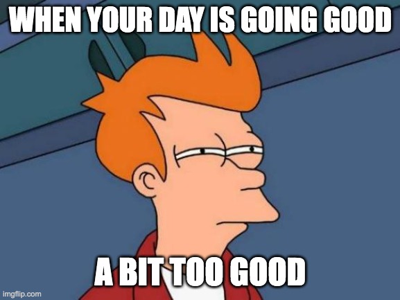 suspicious | WHEN YOUR DAY IS GOING GOOD; A BIT TOO GOOD | image tagged in memes,futurama fry | made w/ Imgflip meme maker