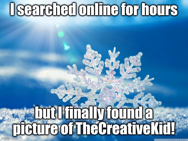 snowflake | I searched online for hours; but I finally found a picture of TheCreativeKid! | image tagged in snowflake | made w/ Imgflip meme maker