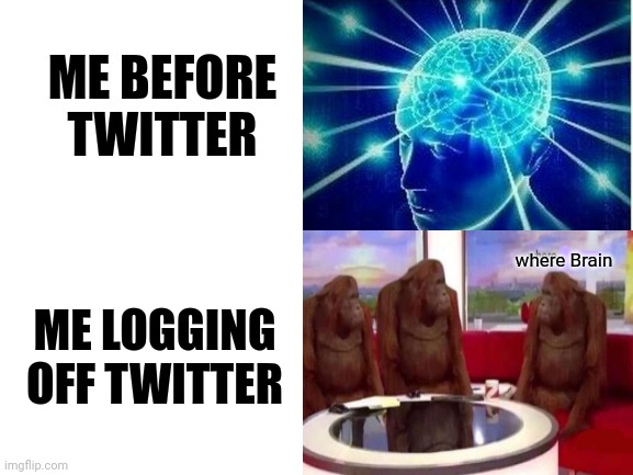 Lol | ME BEFORE TWITTER; where Brain; ME LOGGING OFF TWITTER | made w/ Imgflip meme maker