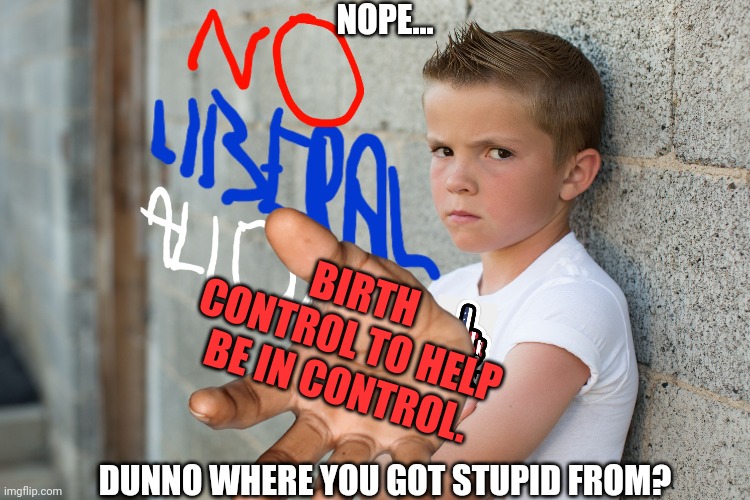 NOPE... DUNNO WHERE YOU GOT STUPID FROM? BIRTH CONTROL TO HELP BE IN CONTROL. | made w/ Imgflip meme maker