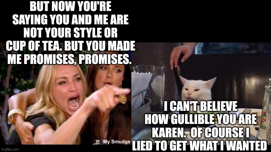 BUT NOW YOU'RE SAYING YOU AND ME ARE NOT YOUR STYLE OR CUP OF TEA. BUT YOU MADE ME PROMISES, PROMISES. I CAN'T BELIEVE HOW GULLIBLE YOU ARE KAREN.  OF COURSE I LIED TO GET WHAT I WANTED | image tagged in smudge the cat | made w/ Imgflip meme maker