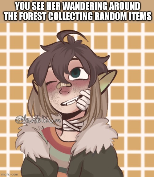 New oc | YOU SEE HER WANDERING AROUND THE FOREST COLLECTING RANDOM ITEMS | image tagged in chaos,gremlin | made w/ Imgflip meme maker