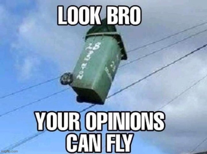 Your opinion | image tagged in your opinion | made w/ Imgflip meme maker