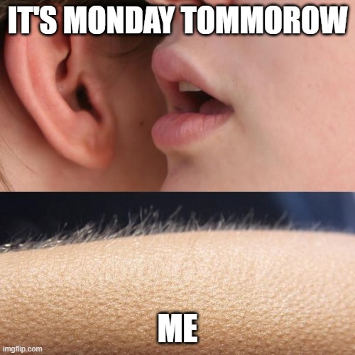 Whisper and Goosebumps | IT'S MONDAY TOMMOROW; ME | image tagged in whisper and goosebumps | made w/ Imgflip meme maker