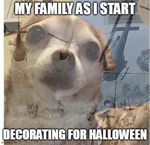 My family as I start decorating for halloween | MY FAMILY AS I START; DECORATING FOR HALLOWEEN | image tagged in ptsd chihuahua,funny,halloween,happy halloween,halloween decor,holidays | made w/ Imgflip meme maker