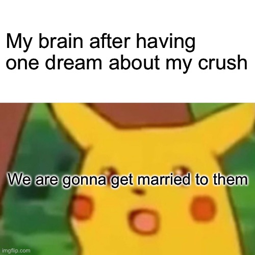 Surprised Pikachu Meme | My brain after having one dream about my crush; We are gonna get married to them | image tagged in memes,surprised pikachu | made w/ Imgflip meme maker
