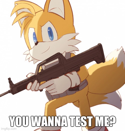 YOU WANNA TEST ME? | image tagged in tails gun | made w/ Imgflip meme maker