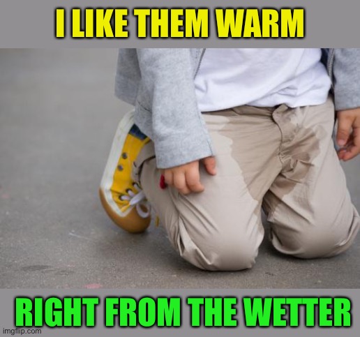 Pee Peed Pants  Wet self | I LIKE THEM WARM RIGHT FROM THE WETTER | image tagged in pee peed pants wet self | made w/ Imgflip meme maker