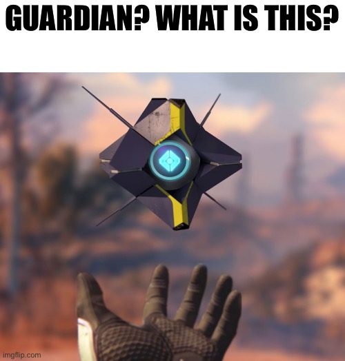  destiny Ghost | GUARDIAN? WHAT IS THIS? | image tagged in destiny ghost | made w/ Imgflip meme maker