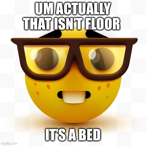 Nerd emoji | UM ACTUALLY THAT ISN’T FLOOR IT’S A BED | image tagged in nerd emoji | made w/ Imgflip meme maker