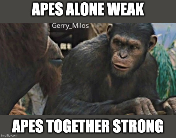 Apes together strong | APES ALONE WEAK; APES TOGETHER STRONG | image tagged in apes together strong | made w/ Imgflip meme maker