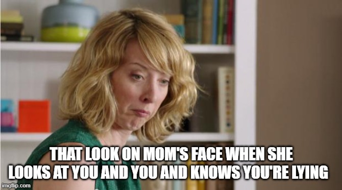 That look on Mom's face | THAT LOOK ON MOM'S FACE WHEN SHE LOOKS AT YOU AND YOU AND KNOWS YOU'RE LYING | image tagged in echo mom | made w/ Imgflip meme maker