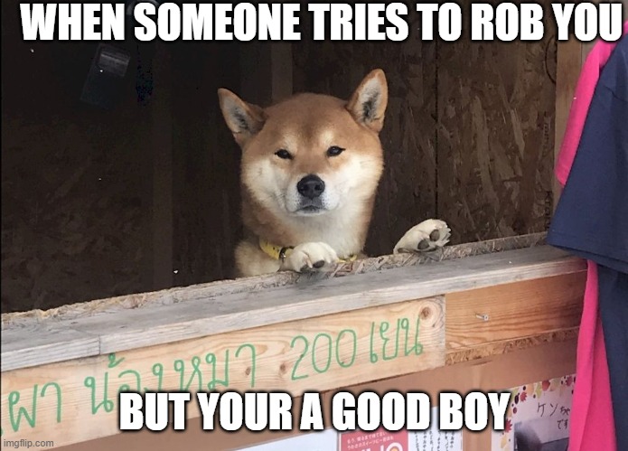 staring doge | WHEN SOMEONE TRIES TO ROB YOU; BUT YOUR A GOOD BOY | image tagged in staring doge | made w/ Imgflip meme maker