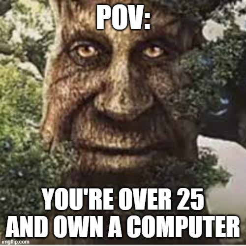 wise mystical tree | POV:; YOU'RE OVER 25 AND OWN A COMPUTER | image tagged in smart,mystery | made w/ Imgflip meme maker