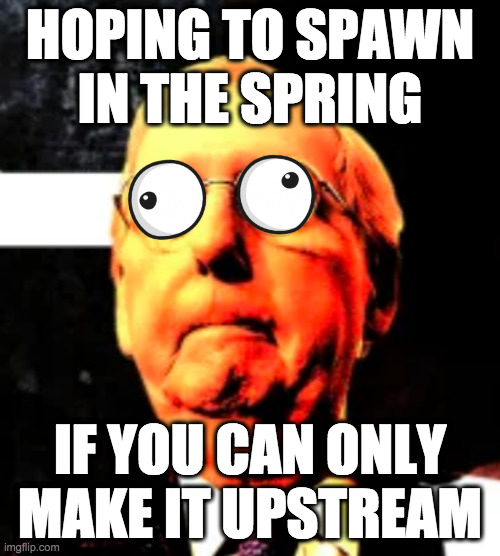 Good luck, chum. | HOPING TO SPAWN
IN THE SPRING; IF YOU CAN ONLY MAKE IT UPSTREAM | image tagged in memes,mitch mcconnell,early retirement | made w/ Imgflip meme maker