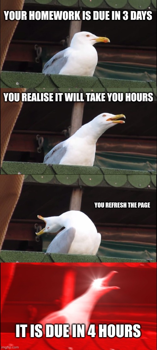 :( | YOUR HOMEWORK IS DUE IN 3 DAYS; YOU REALISE IT WILL TAKE YOU HOURS; YOU REFRESH THE PAGE; IT IS DUE IN 4 HOURS | image tagged in memes,inhaling seagull | made w/ Imgflip meme maker