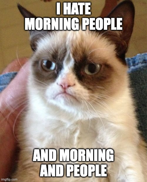 i hate morning people |  I HATE MORNING PEOPLE; AND MORNING
AND PEOPLE | image tagged in memes,grumpy cat,morning,morning people,people,hate | made w/ Imgflip meme maker