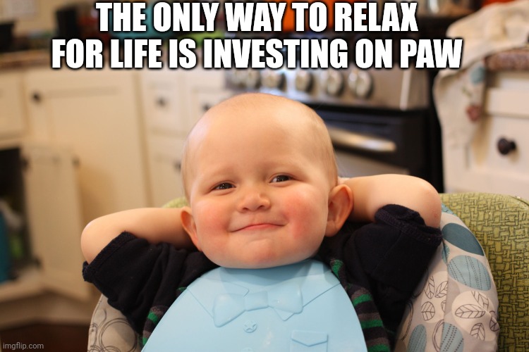 Baby Boss Relaxed Smug Content | THE ONLY WAY TO RELAX FOR LIFE IS INVESTING ON PAW | image tagged in baby boss relaxed smug content | made w/ Imgflip meme maker