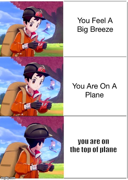 pokemon shield meme | you are on the top of plane | image tagged in oh no,kalm panik | made w/ Imgflip meme maker
