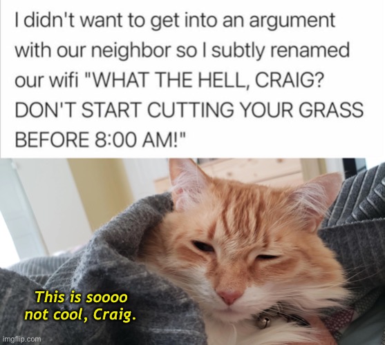 When Your Neighbor is an Early Bird | This is soooo not cool, Craig. | image tagged in funny memes,mowing the grass,too early | made w/ Imgflip meme maker
