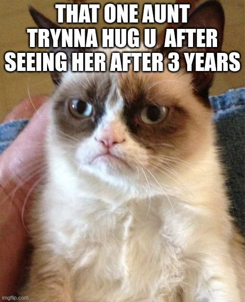 Grumpy Cat | THAT ONE AUNT TRYNNA HUG U  AFTER SEEING HER AFTER 3 YEARS | image tagged in memes,grumpy cat | made w/ Imgflip meme maker