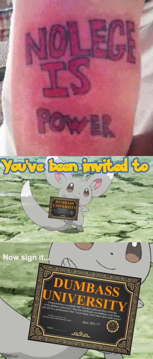 image tagged in you've been invited to dumbass university | made w/ Imgflip meme maker