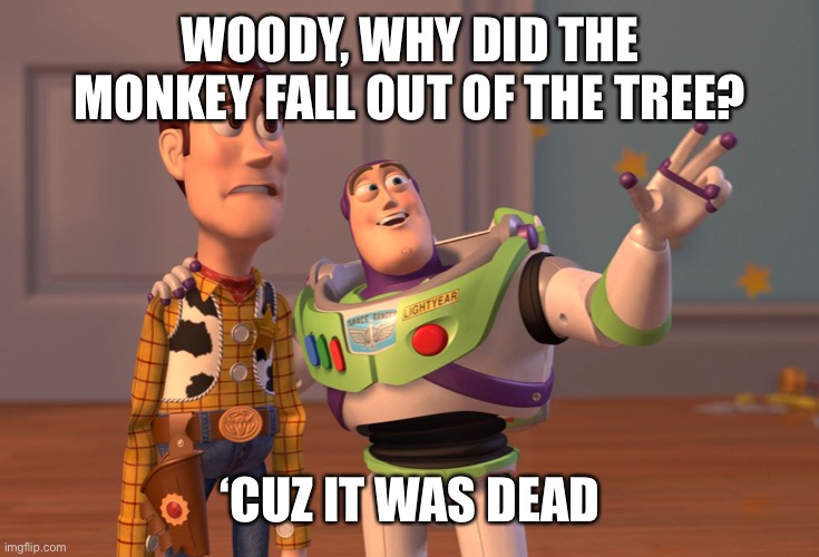 X, X Everywhere Meme | WOODY, WHY DID THE MONKEY FALL OUT OF THE TREE? ‘CUZ IT WAS DEAD | image tagged in memes,x x everywhere | made w/ Imgflip meme maker