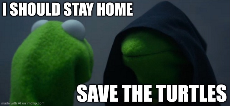 Evil Kermit | I SHOULD STAY HOME; SAVE THE TURTLES | image tagged in memes,evil kermit | made w/ Imgflip meme maker