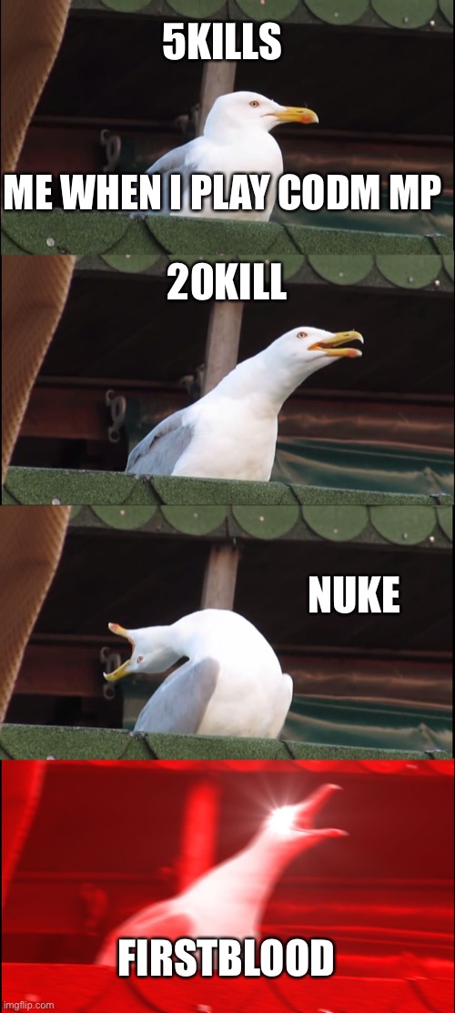 Cod | 5KILLS; ME WHEN I PLAY CODM MP; 20KILL; NUKE; FIRSTBLOOD | image tagged in memes,inhaling seagull,cod | made w/ Imgflip meme maker