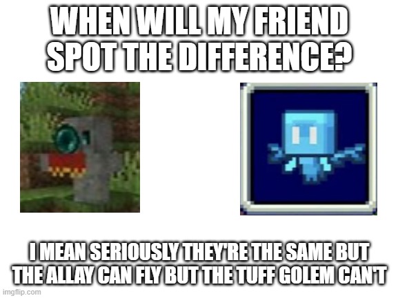 When will my friend spot the difference? | WHEN WILL MY FRIEND SPOT THE DIFFERENCE? I MEAN SERIOUSLY THEY'RE THE SAME BUT THE ALLAY CAN FLY BUT THE TUFF GOLEM CAN'T | image tagged in blank white template | made w/ Imgflip meme maker