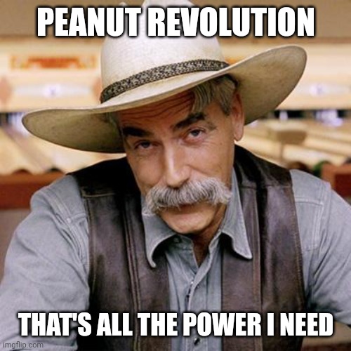 Peanut Revolution | PEANUT REVOLUTION; THAT'S ALL THE POWER I NEED | image tagged in sarcasm cowboy | made w/ Imgflip meme maker