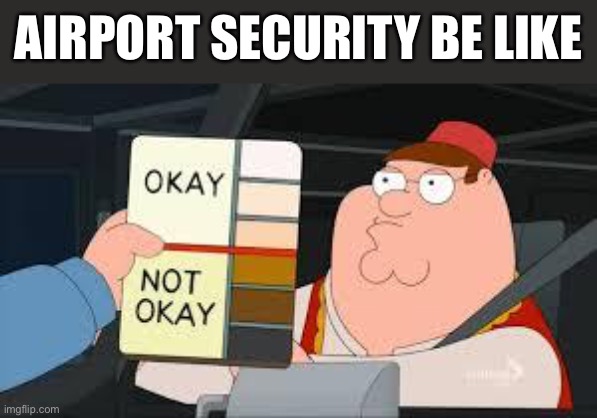 racist peter griffin family guy | AIRPORT SECURITY BE LIKE | image tagged in racist peter griffin family guy | made w/ Imgflip meme maker