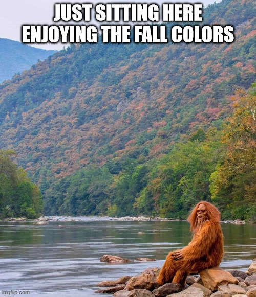 JUST SITTING HERE ENJOYING THE FALL COLORS | image tagged in durl earl | made w/ Imgflip meme maker