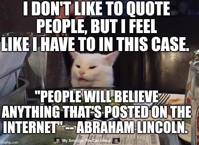 I DON'T LIKE TO QUOTE PEOPLE, BUT I FEEL LIKE I HAVE TO IN THIS CASE. "PEOPLE WILL BELIEVE ANYTHING THAT'S POSTED ON THE INTERNET" -- ABRAHAM LINCOLN. | image tagged in smudge the cat | made w/ Imgflip meme maker