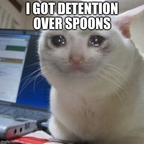 mega bruh | I GOT DETENTION OVER SPOONS | image tagged in crying cat | made w/ Imgflip meme maker